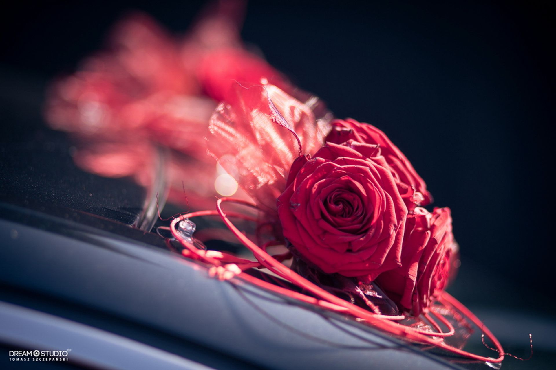 Kwiaciarnia Magnolia 62